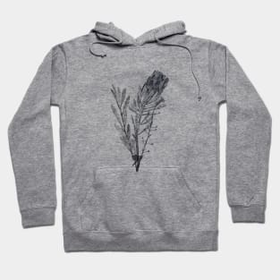Hand-drawn protea flower and leaves Hoodie